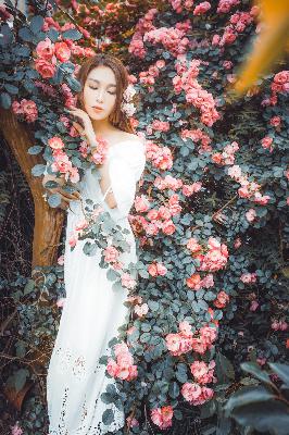 终末的女武神