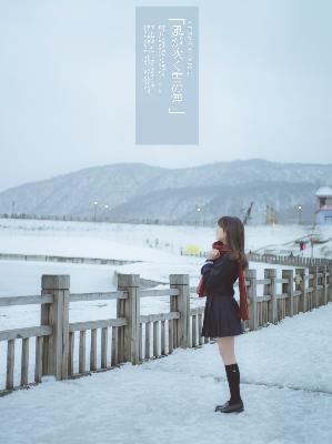 国产免费完整高清电视剧在线看