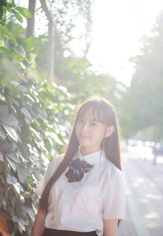 欧美人动物PPT免费模板大全