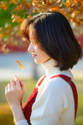 成全高清免费完整观看