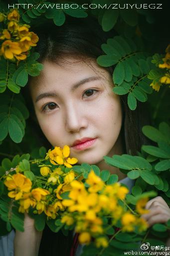 午夜星空免费观看全部电视剧最新