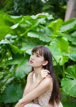 HD欧美FREE性XXX×护士