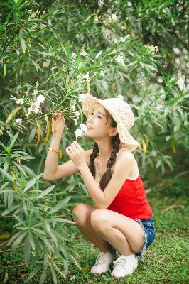 成全电影大全免费观看完整版动漫