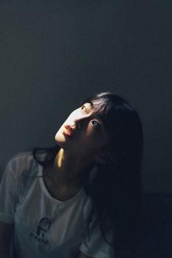 成全免费高清在线观看第5季预告
