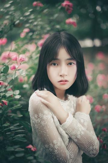 最好看的2019中文大全在线观看