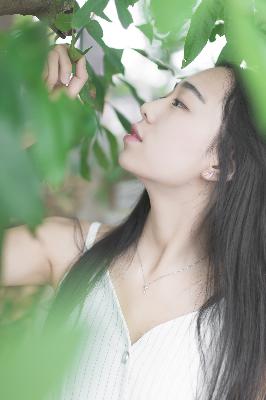国色芳华电视剧在线观看