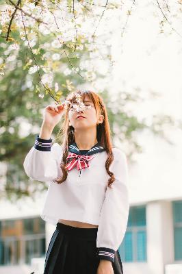 樱花视频免费观看电视剧高清下载