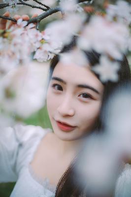 成全在线观看免费完整版第一季