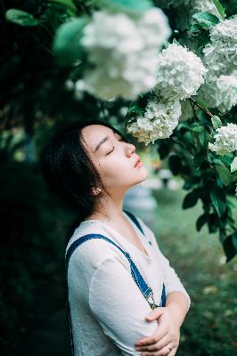 樱花官方IMOMOE官网入口