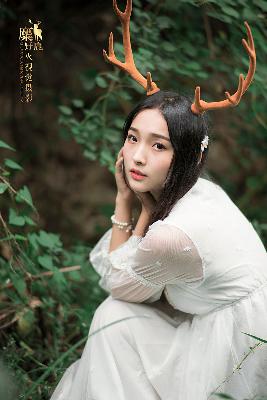 终极笔记电视剧免费观看完整版