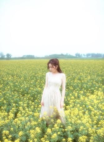 野兽们的战争在线观看免费版