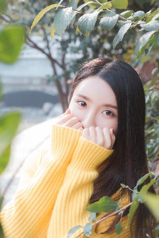 飘雪影院在线观看免费版高清动漫