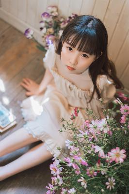少女国产免费观看高清电视剧