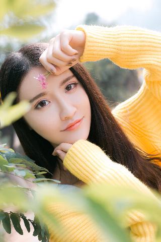 樱花视频高清免费看电视剧