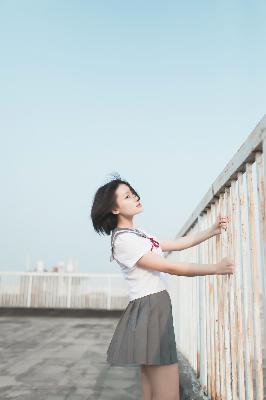 欧美人动物PPT免费模板大全