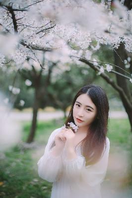 金瓶梅电视剧