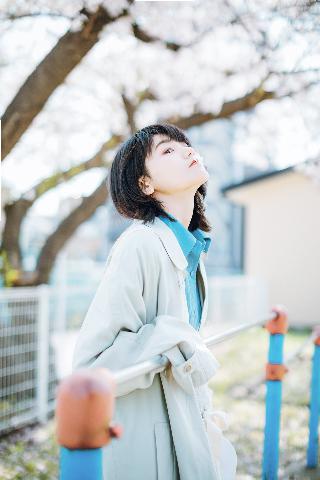 大地资源在线观看视频