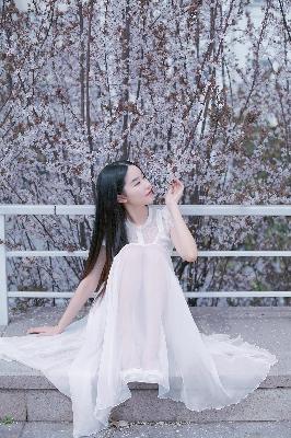 欧美人动物PPT免费模板大全