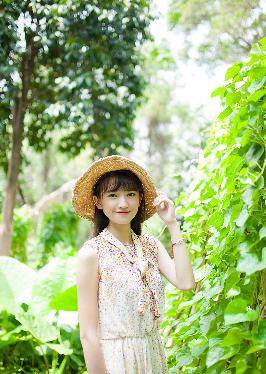 流星花园电视剧免费观看完整版