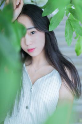 樱花动漫在线观看动漫第8集