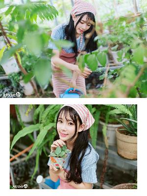 成全视频在线观看免费高清
