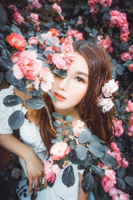 偷偷在线观看免费高清电视剧