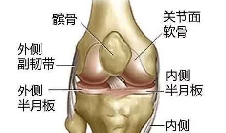 老人走不動，主要因?yàn)樗? />                    <h6 class=