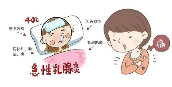 如何防治急性乳腺炎？