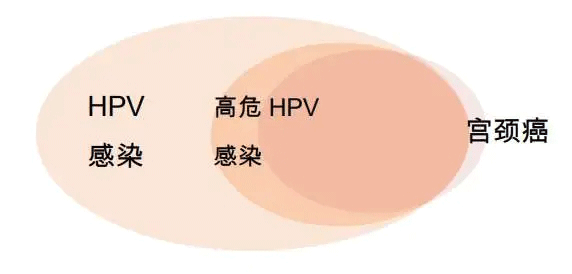 什么是HPV病毒？
