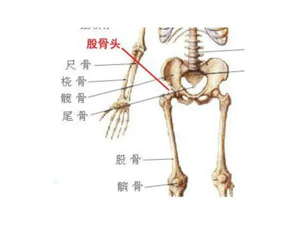 股骨頭不好，不要再做這些運動！