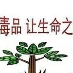 6.26國際禁毒日 · 這些禁毒知識(shí)要知曉！