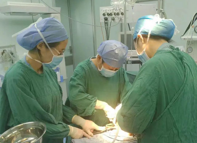 近日我院婦科完成尿失禁新型自體組織尿道中段懸固術(shù)(shù)一例